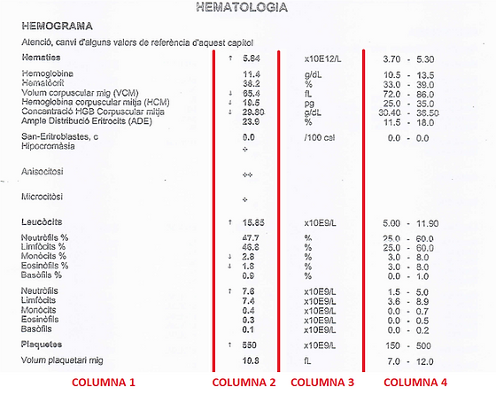 Valores Normales De Hemograma Completo Cuáles Son Aceros Zapla